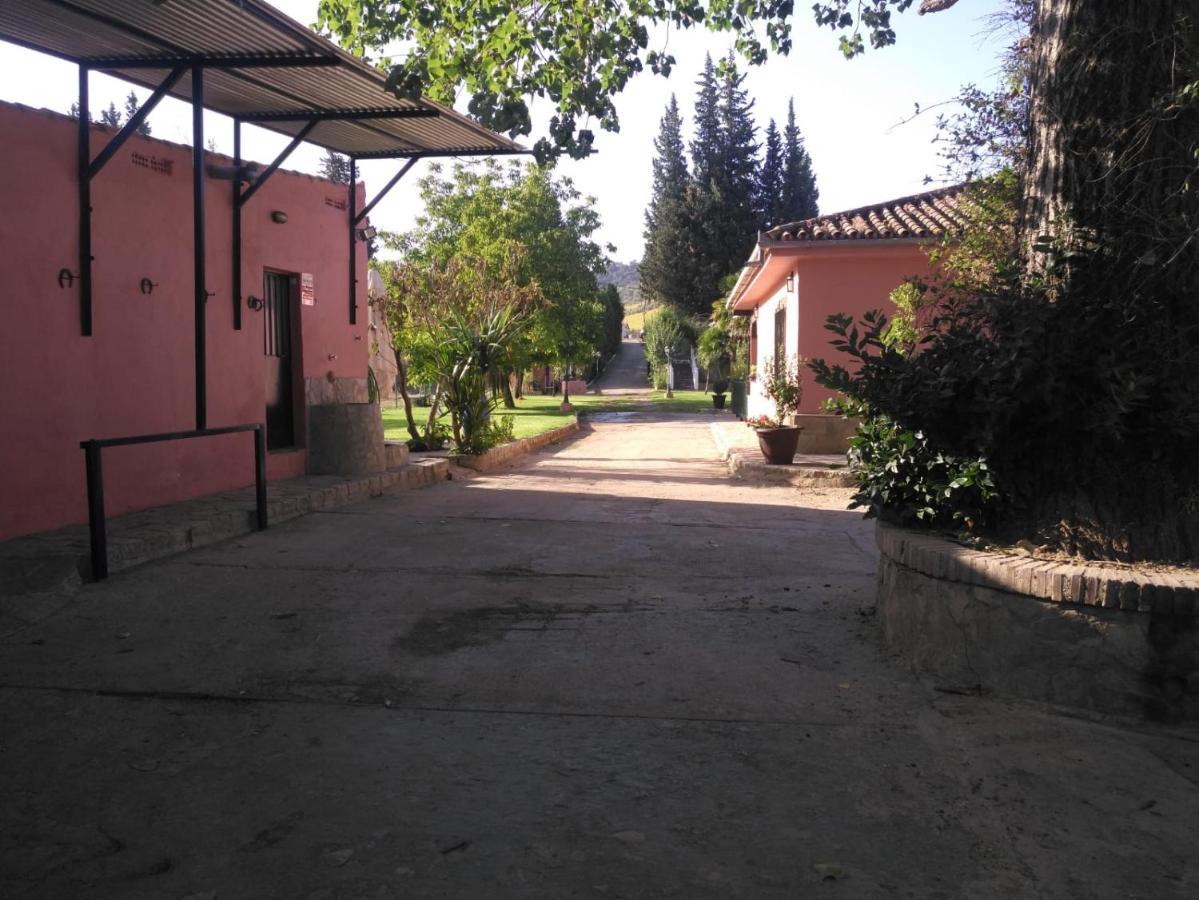 Casa Rural Las Palmeras Ronda Exterior photo